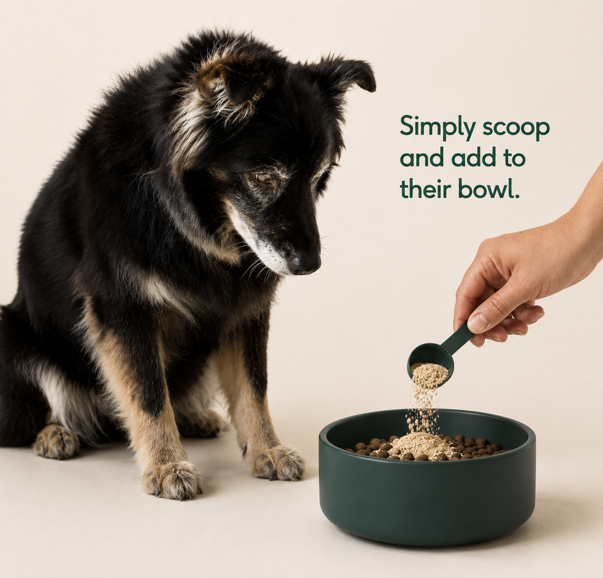 Welova Hips & Joints - complement articulaire pour chien